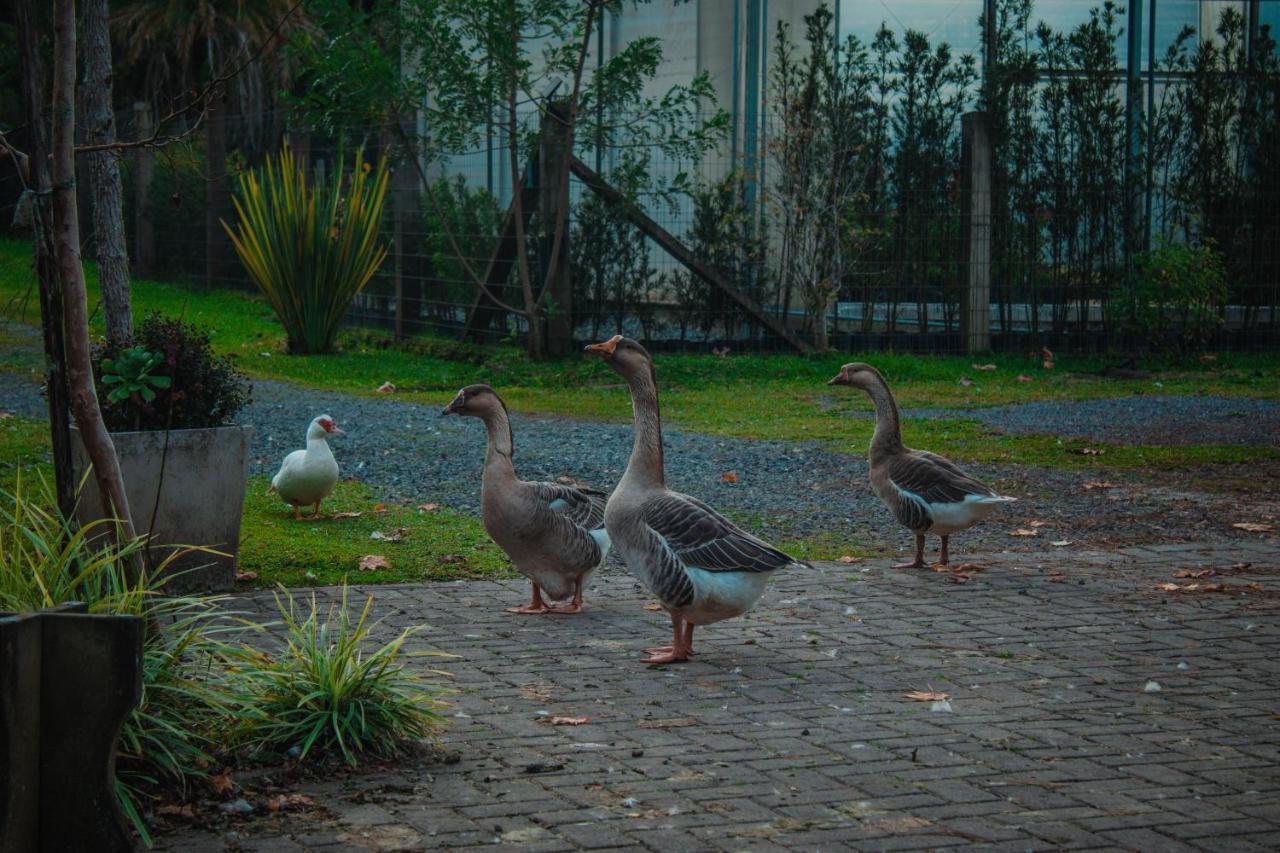 Gramado Motorpark Villa Kültér fotó